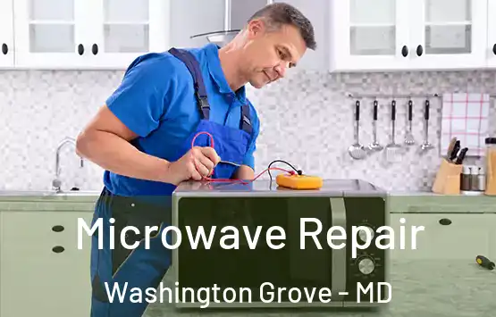  Microwave Repair Washington Grove - MD