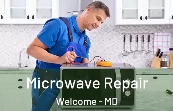  Microwave Repair Welcome - MD