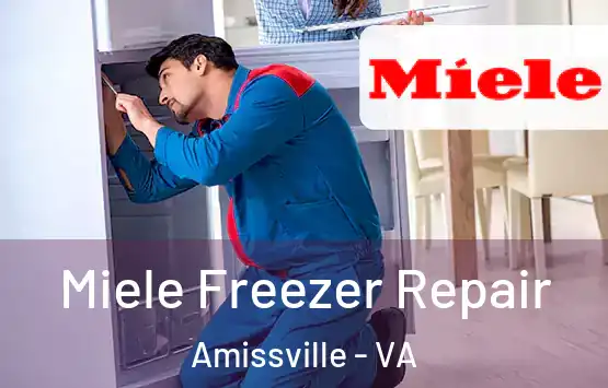  Miele Freezer Repair Amissville - VA