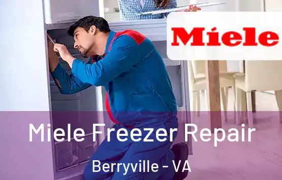  Miele Freezer Repair Berryville - VA