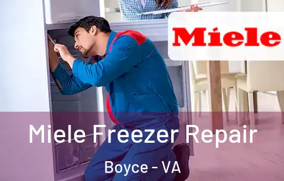  Miele Freezer Repair Boyce - VA