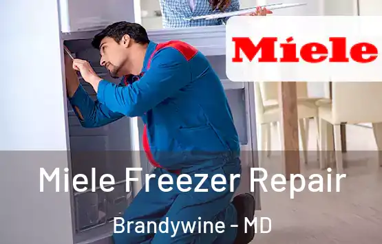  Miele Freezer Repair Brandywine - MD