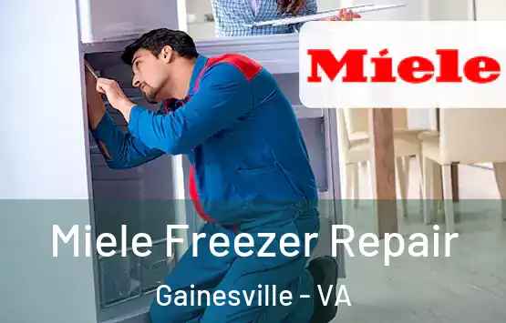  Miele Freezer Repair Gainesville - VA