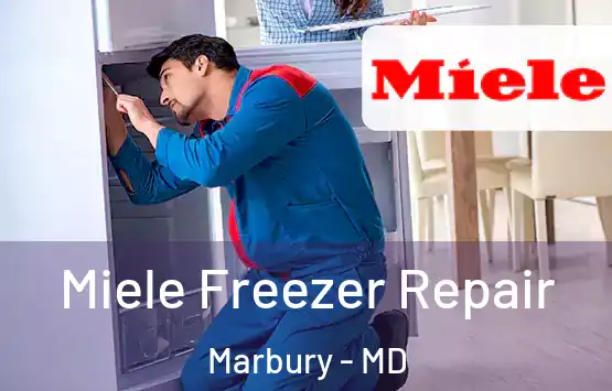  Miele Freezer Repair Marbury - MD