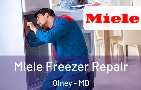 Miele Freezer Repair Olney - MD