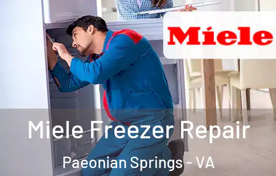  Miele Freezer Repair Paeonian Springs - VA