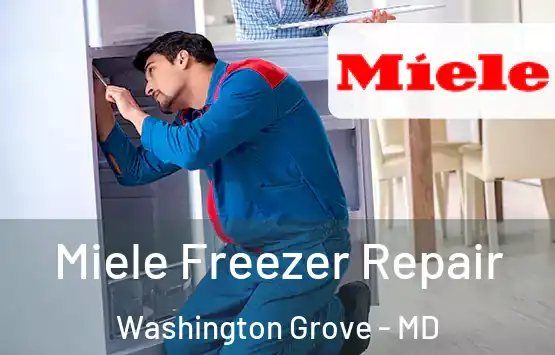  Miele Freezer Repair Washington Grove - MD