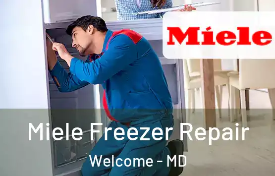  Miele Freezer Repair Welcome - MD