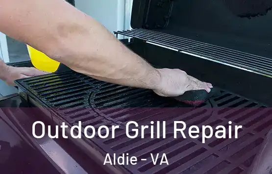  Outdoor Grill Repair Aldie - VA