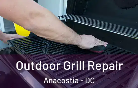  Outdoor Grill Repair Anacostia - DC