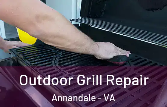  Outdoor Grill Repair Annandale - VA
