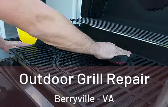 Outdoor Grill Repair Berryville - VA