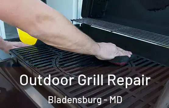  Outdoor Grill Repair Bladensburg - MD