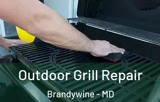  Outdoor Grill Repair Brandywine - MD