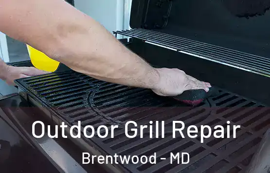  Outdoor Grill Repair Brentwood - MD