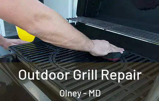  Outdoor Grill Repair Olney - MD