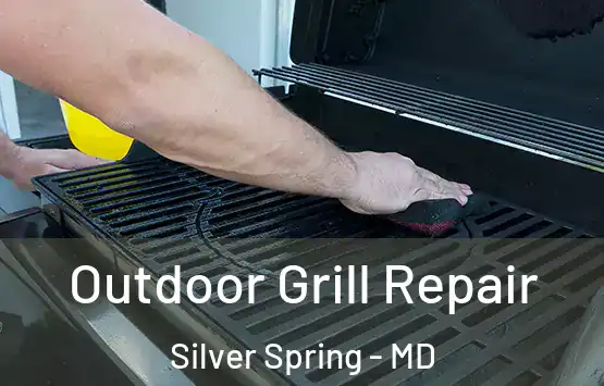  Outdoor Grill Repair Silver Spring - MD