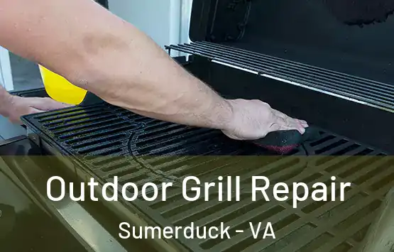  Outdoor Grill Repair Sumerduck - VA