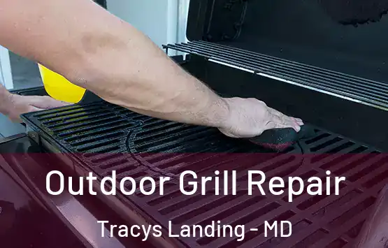  Outdoor Grill Repair Tracys Landing - MD