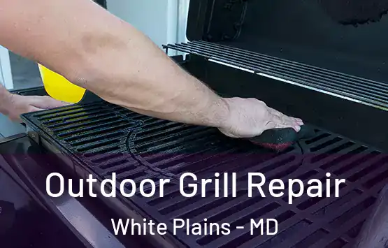  Outdoor Grill Repair White Plains - MD