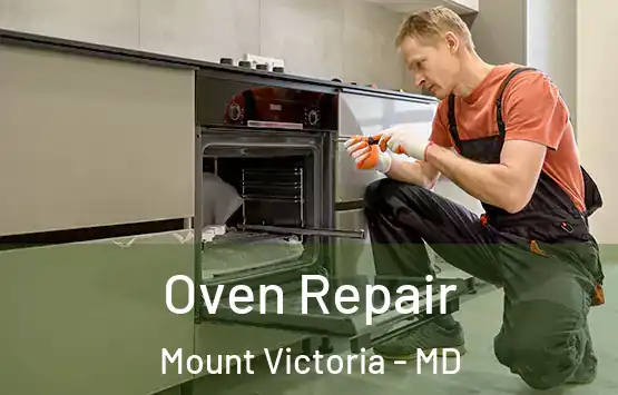  Oven Repair Mount Victoria - MD