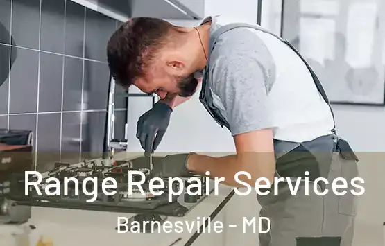 Range Repair Services Barnesville - MD