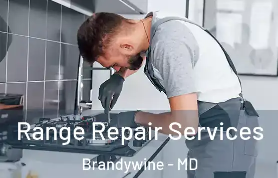  Range Repair Services Brandywine - MD