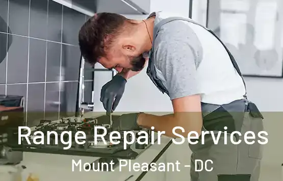  Range Repair Services Mount Pleasant - DC