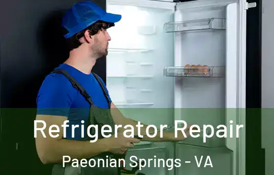  Refrigerator Repair Paeonian Springs - VA