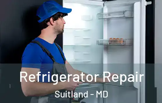  Refrigerator Repair Suitland - MD