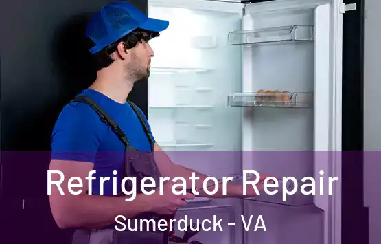  Refrigerator Repair Sumerduck - VA