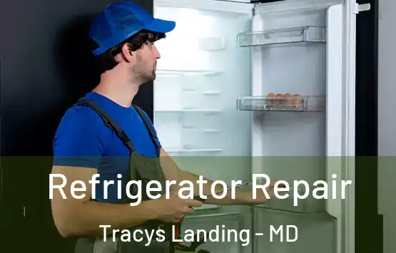  Refrigerator Repair Tracys Landing - MD