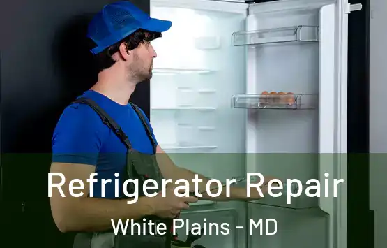  Refrigerator Repair White Plains - MD