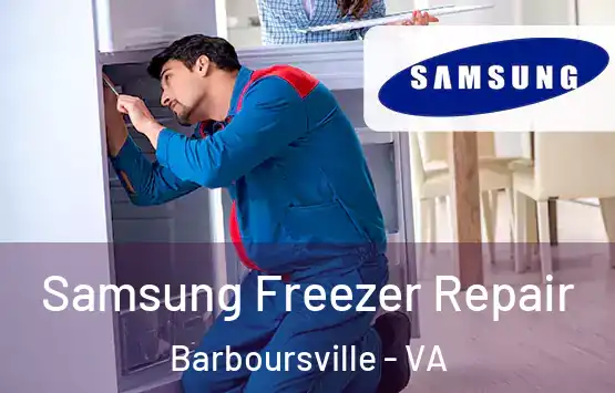  Samsung Freezer Repair Barboursville - VA