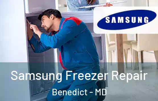  Samsung Freezer Repair Benedict - MD