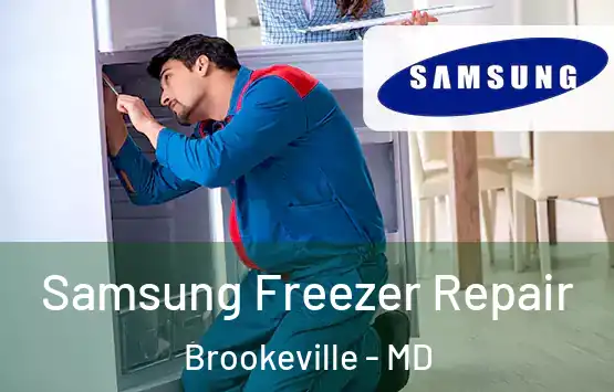  Samsung Freezer Repair Brookeville - MD