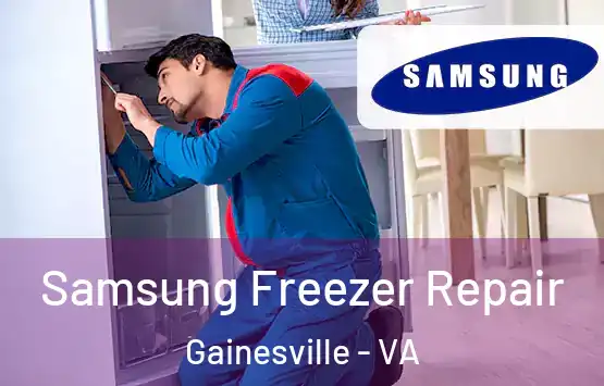  Samsung Freezer Repair Gainesville - VA