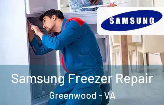  Samsung Freezer Repair Greenwood - VA