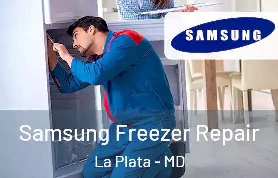  Samsung Freezer Repair La Plata - MD