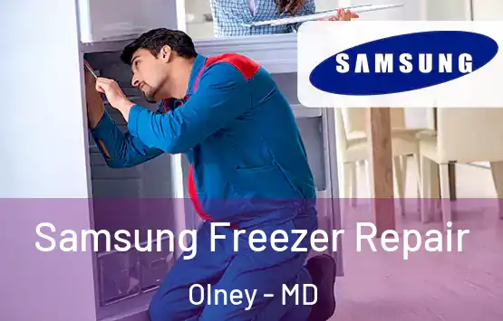  Samsung Freezer Repair Olney - MD