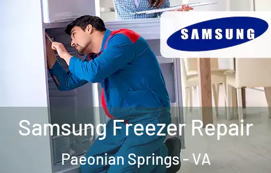  Samsung Freezer Repair Paeonian Springs - VA