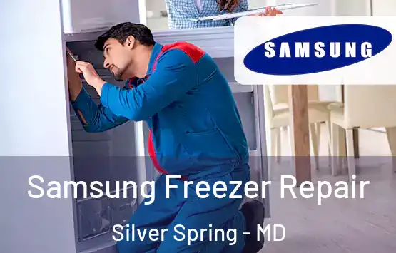  Samsung Freezer Repair Silver Spring - MD