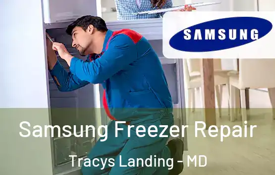  Samsung Freezer Repair Tracys Landing - MD