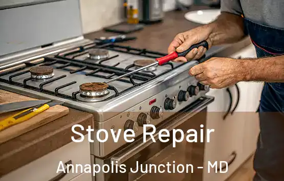  Stove Repair Annapolis Junction - MD