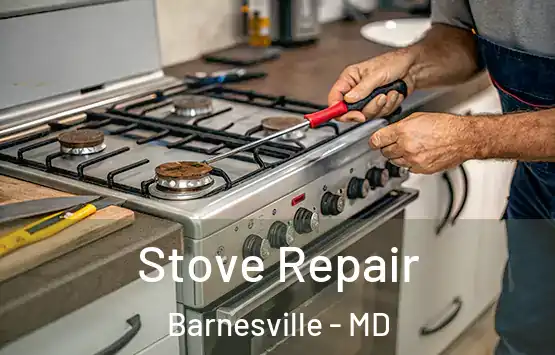  Stove Repair Barnesville - MD