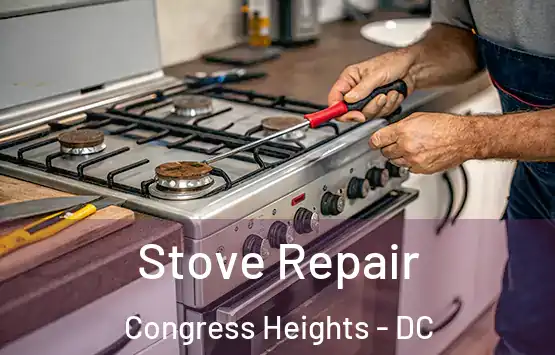  Stove Repair Congress Heights - DC