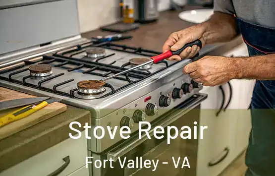  Stove Repair Fort Valley - VA