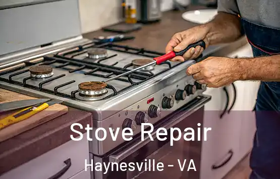  Stove Repair Haynesville - VA