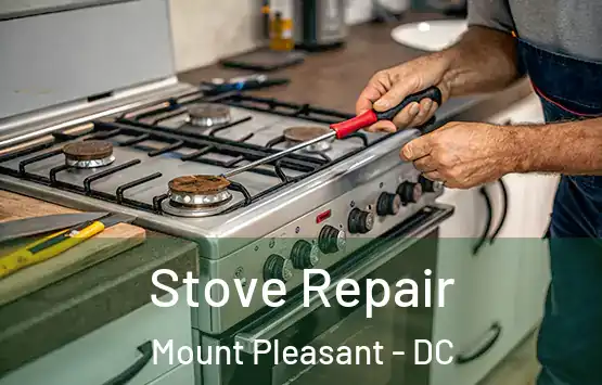  Stove Repair Mount Pleasant - DC
