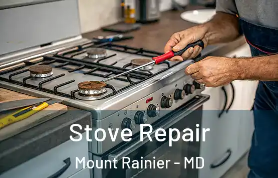  Stove Repair Mount Rainier - MD